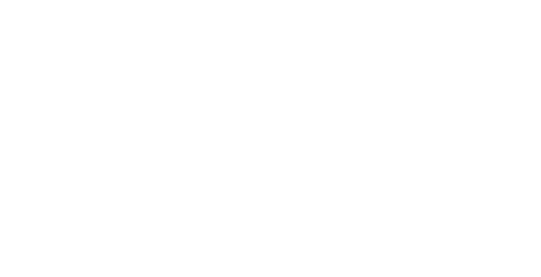 Project Logo