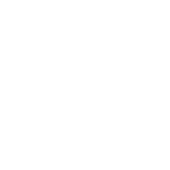 User Interviews Findings